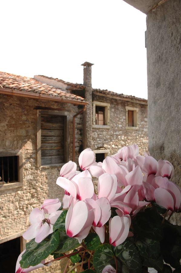 Albergo Diffuso Valcellina E Val Vajont In Erto 外观 照片